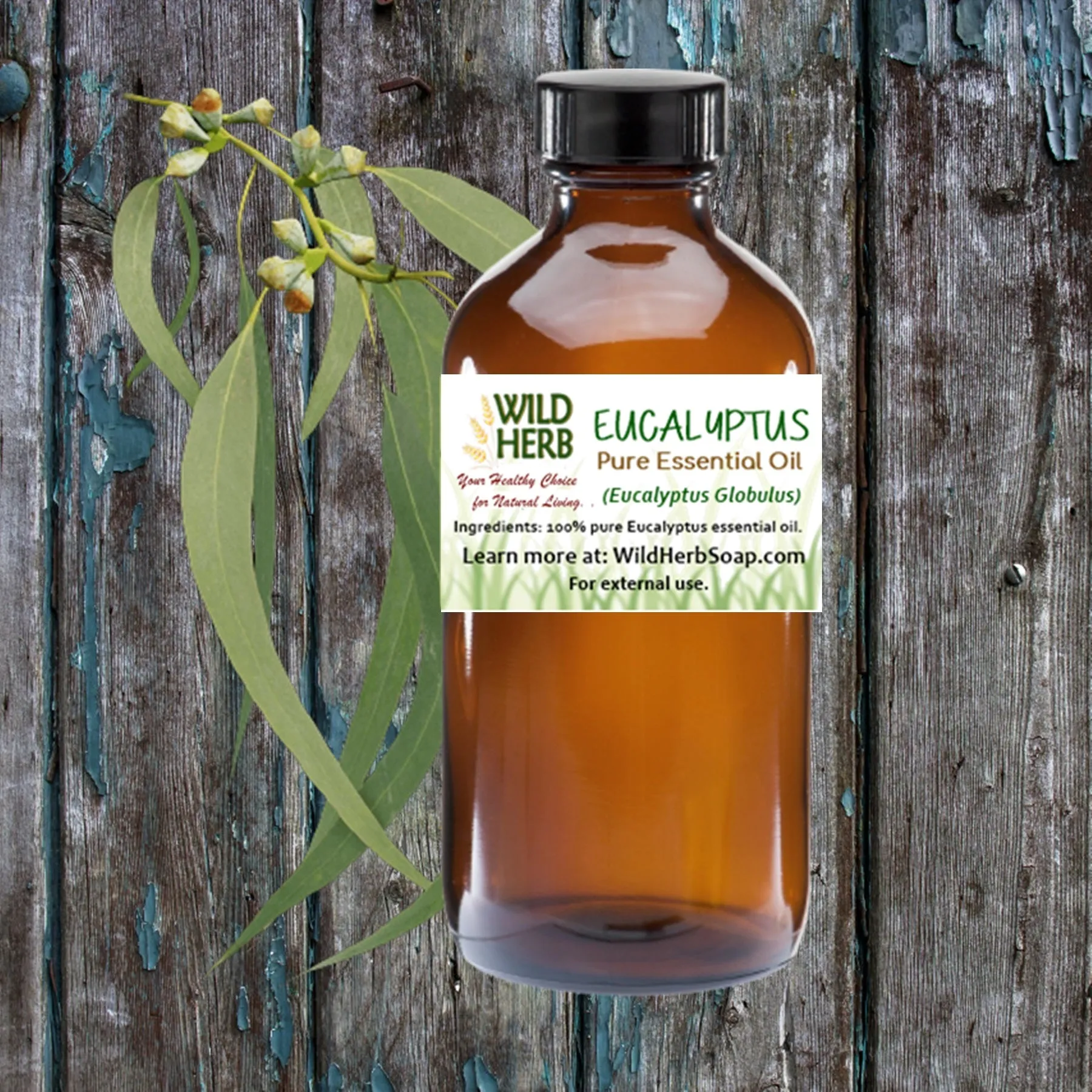 Eucalyptus Pure Essential Oil