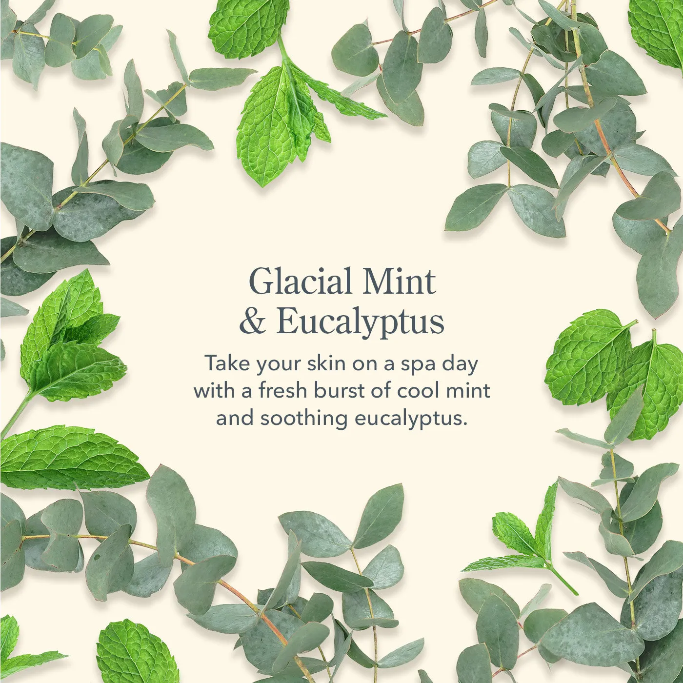 Glacial Mint & Eucalyptus Lip Balm