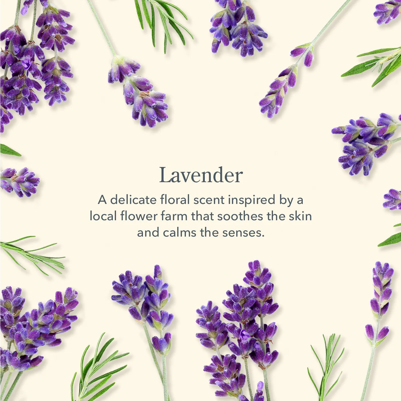 Lavender Lip Balm